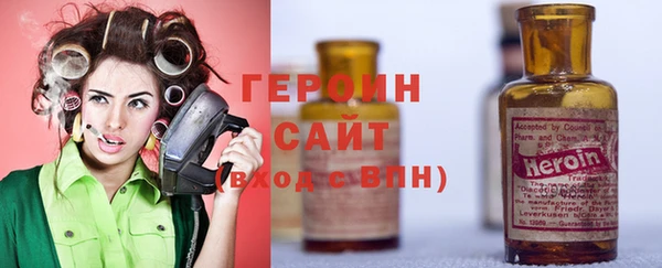 гашик Алексин