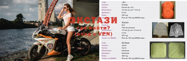 гашик Алексин