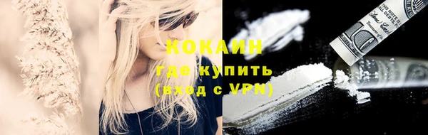 гашик Алексин