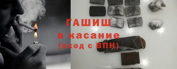 гашик Алексин