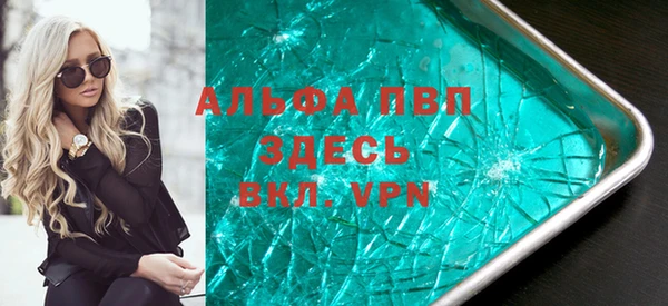гашик Алексин